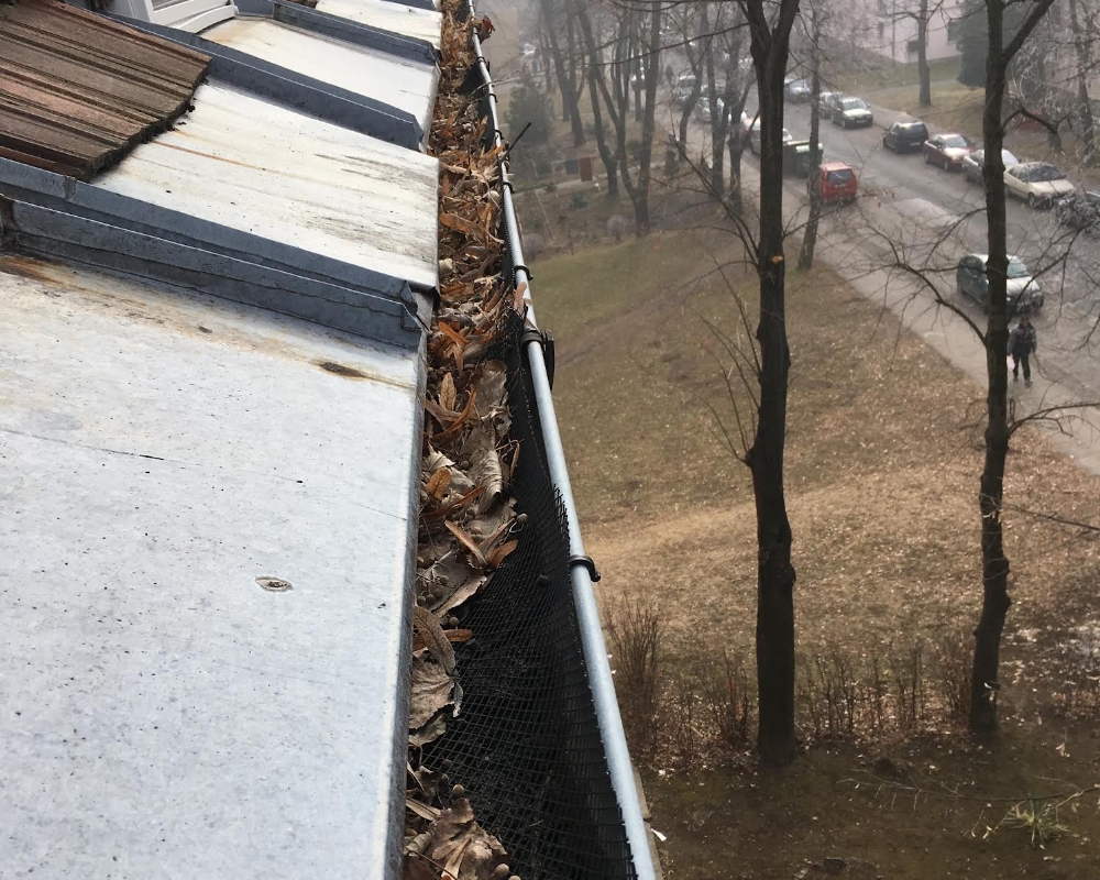 th_3
